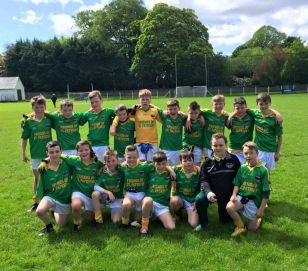 School Team Reach County Final